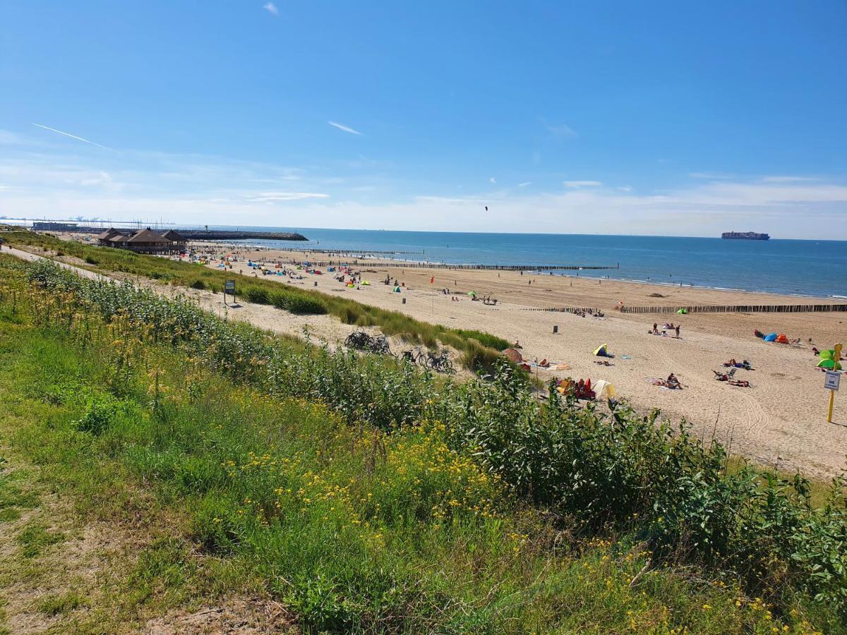 Apartmán Le Normandy 5Star Cadzand Exteriér fotografie